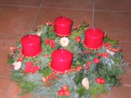 IMG_8313