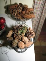 IMG_1610