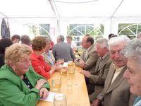 20100620 FF-Heuriger Hipples - Hippleser Treffen 2010_085.JPG