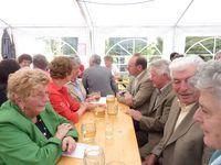 20100620 FF-Heuriger Hipples - Hippleser Treffen 2010_085.JPG